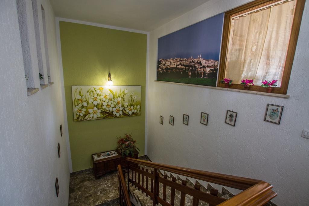 ספלו B&B I Narcisi מראה חיצוני תמונה
